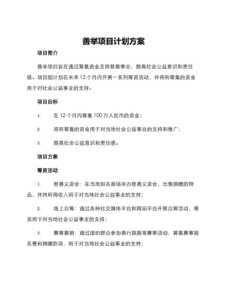 善举项目计划方案