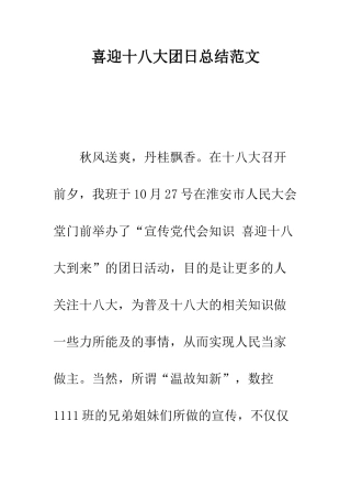 喜迎十八大团日总结范文--精编范文