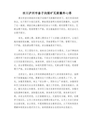 四川泸州市套子沟煤矿瓦斯爆炸心得