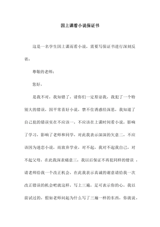 因上课看小说保证书