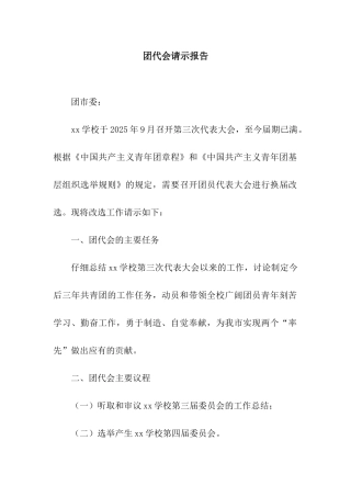 团代会请示报告