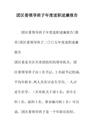 团区委领导班子年度述职述廉报告--精编范文