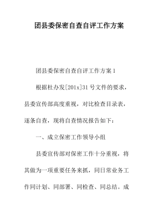 团县委保密自查自评工作方案--精编范文