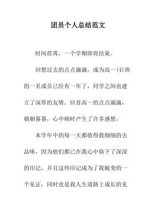 团员个人总结范文--精编范文