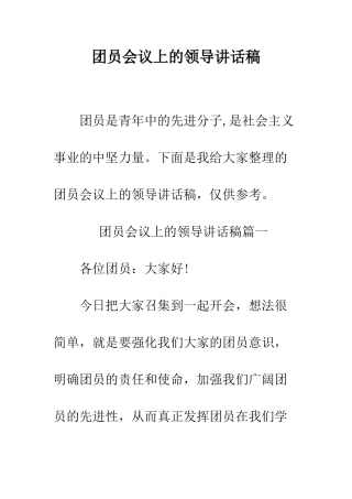 团员会议上的领导讲话稿--精编范文