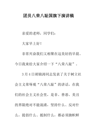 团员八荣八耻国旗下演讲稿--精编范文
