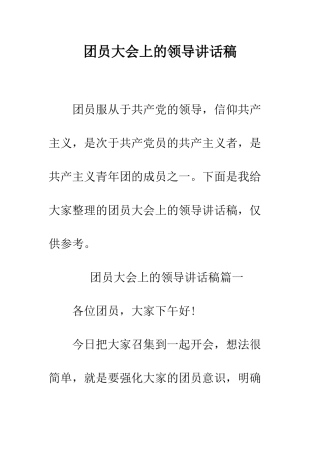 团员大会上的领导讲话稿--精编范文