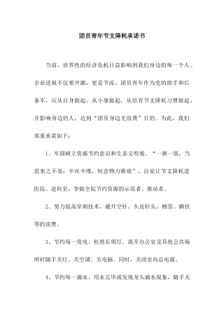 团员青年节支降耗承诺书