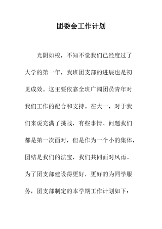 团委会工作计划--精编范文
