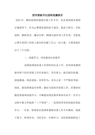 团市委副书记述职述廉报告