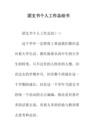 团支书个人工作总结书--精编范文