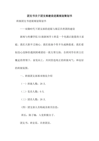 团支书关于团支部建设发展规划策划书