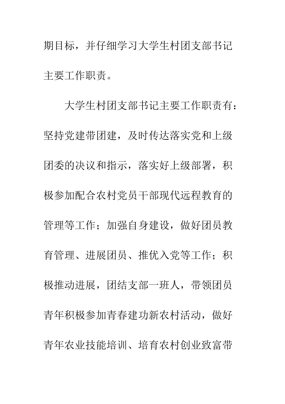 团支部书记工作总结--精编范文_第2页