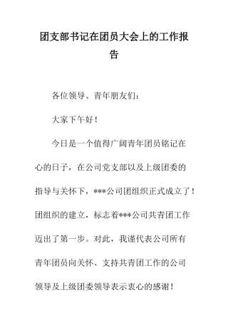 团支部书记在团员大会上的工作报告--精编范文