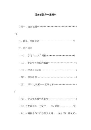 团支部优秀申报材料