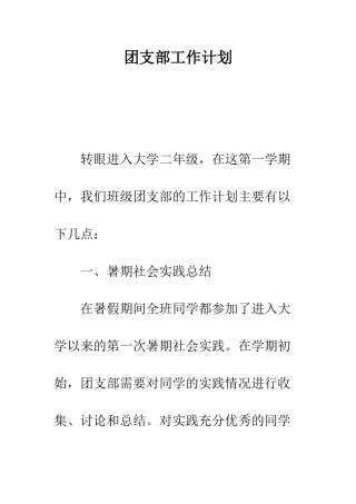 团支部工作计划--精编范文