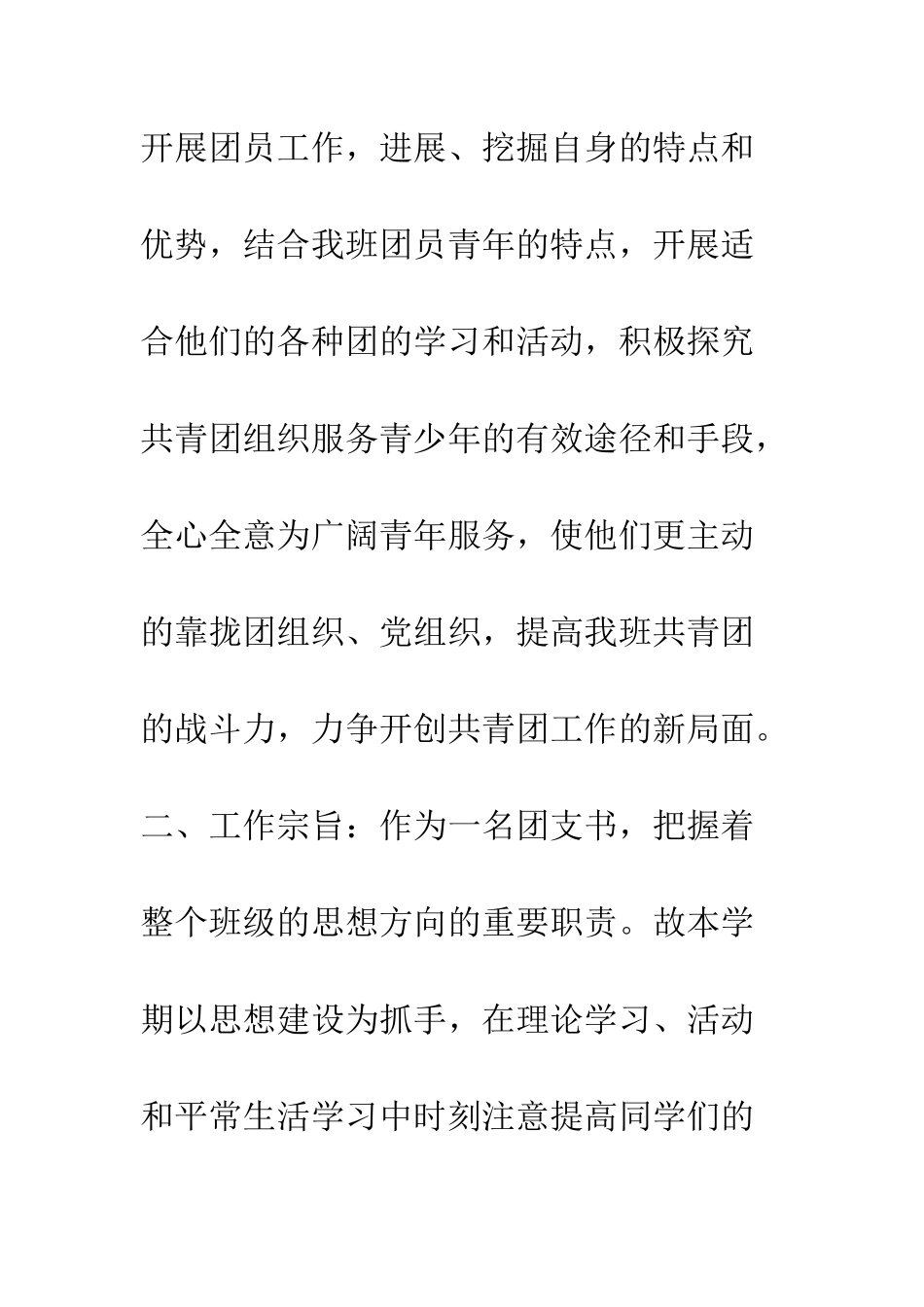 团支部年度工作计划--精编范文_第2页