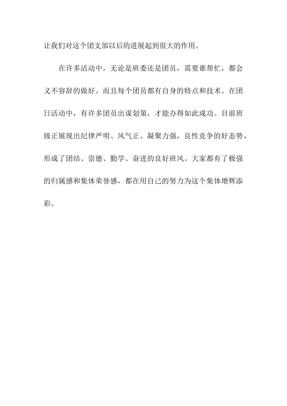 团支部自查报告_第3页