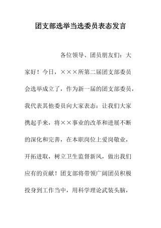团支部选举当选委员表态发言--精编范文
