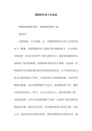 团组织生活工作总结