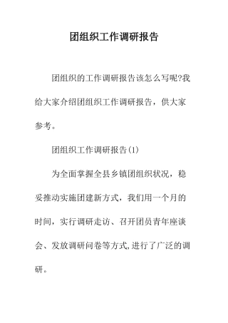 团组织工作调研报告--精编范文