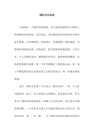 团队合作总结