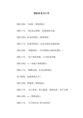 团队队名与口号