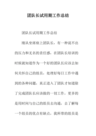 团队长试用期工作总结--精编范文