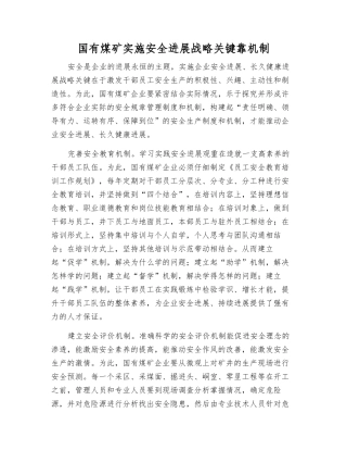 国有煤矿实施安全发展战略关键靠机制