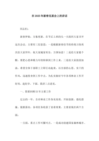 在2025年新春见面会上的讲话