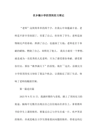 在乡镇小学的顶岗实习周记