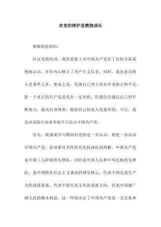 在党的熔炉里燃烧成长