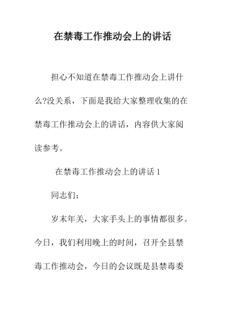 在禁毒工作推进会上的讲话--精编范文