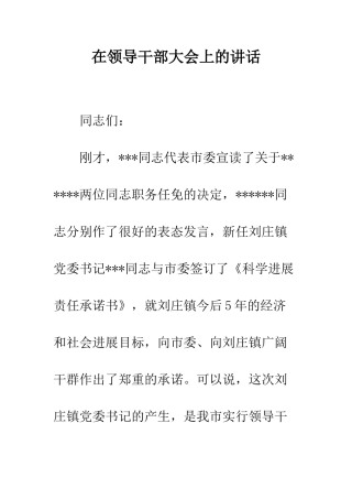 在领导干部大会上的讲话--精编范文