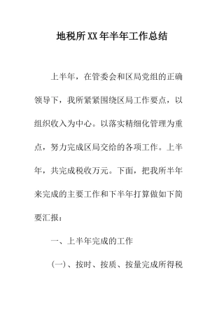 地税所XX年半年工作总结--精编范文