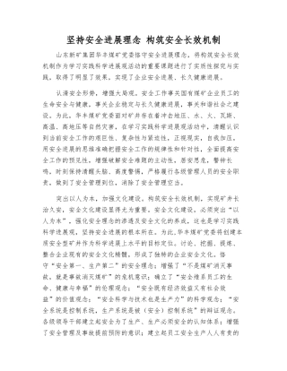 坚持安全发展理念-构筑安全长效机制