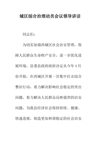 城区综合治理动员会议领导讲话--精编范文