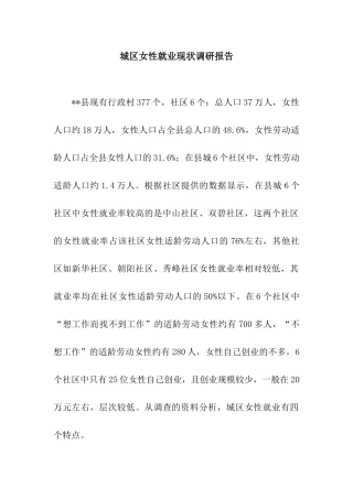 城区女性就业现状调研报告