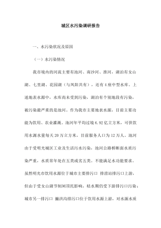 城区水污染调研报告