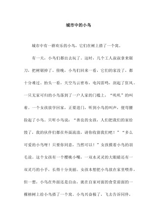 城市中的小鸟-3