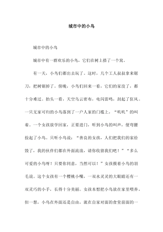 城市中的小鸟-4