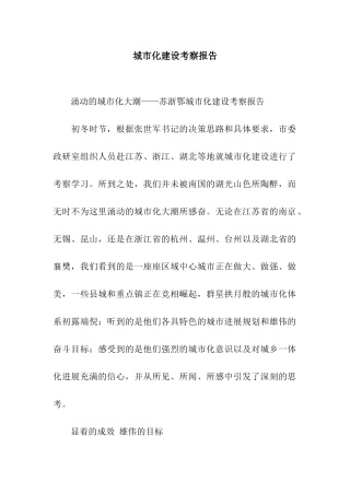 城市化建设考察报告