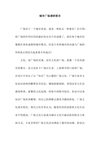 城市广场调研报告