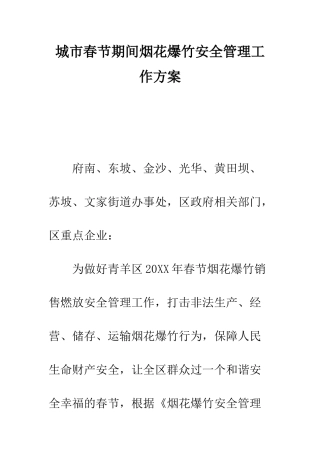 城市春节期间烟花爆竹安全管理工作方案--精编范文
