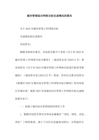 城市管理综合网络目标完成情况的报告