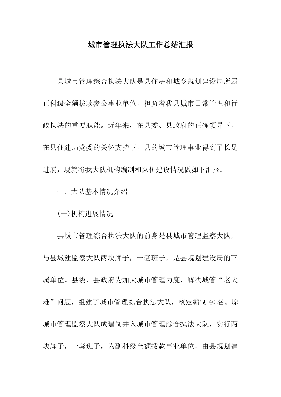 城市管理执法大队工作总结汇报_第1页