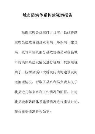 城市防洪体系构建视察报告--精编范文