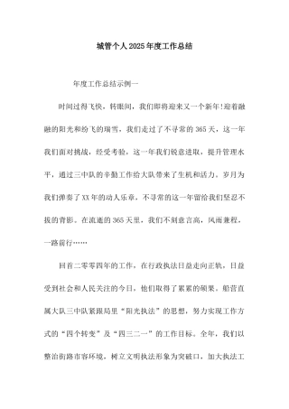 城管个人2025年度工作总结