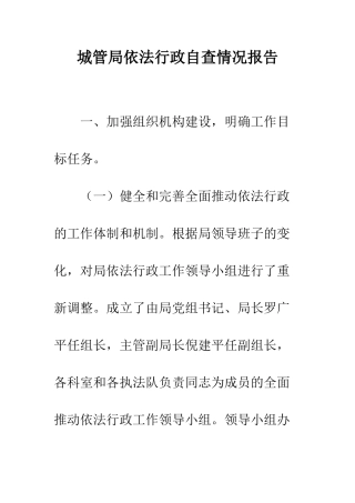 城管局依法行政自查情况报告--精编范文