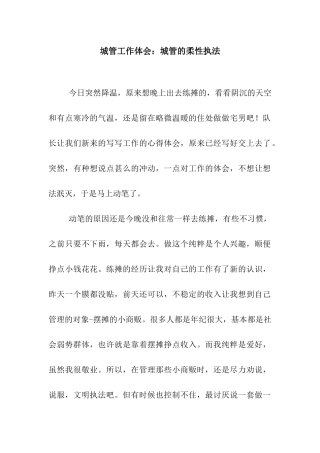 城管工作体会城管的柔性执法
